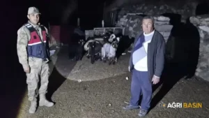 Diyadin’de kaybolan 10 küçükbaş drone ile bulundu