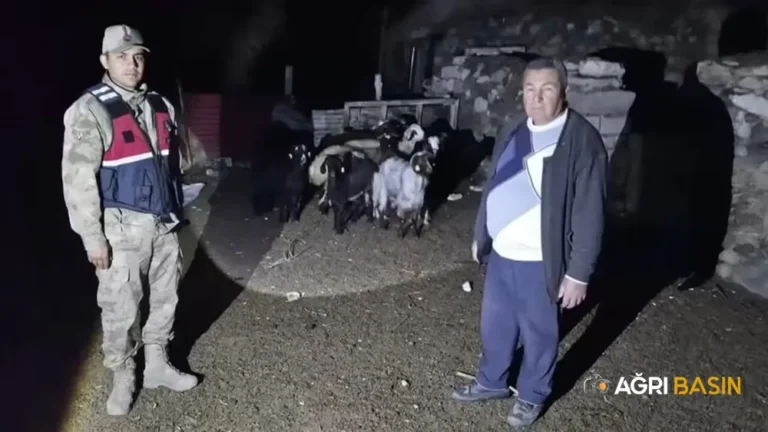 Diyadin’de kaybolan 10 küçükbaş drone ile bulundu
