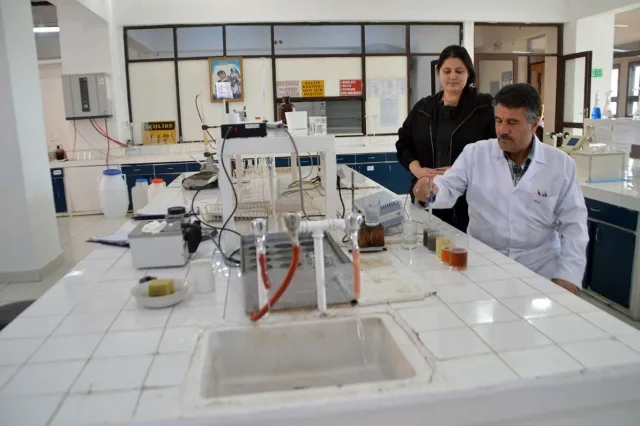 Tarladan Sofraya Şeker'in Yolculuğu