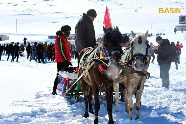 Taşlıçay 1. Balıkgölü Kış Festivali