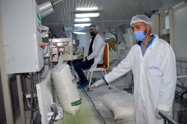 Tarladan Sofraya Şeker'in Yolculuğu
