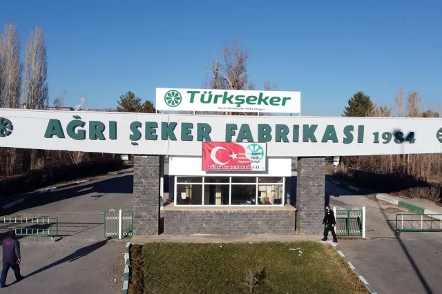 Tarladan Sofraya Şeker'in Yolculuğu