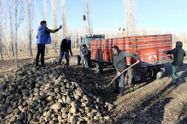 Tarladan Sofraya Şeker'in Yolculuğu