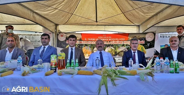 Ağrı’da Silajlık Mısır Hasadı Başladı
