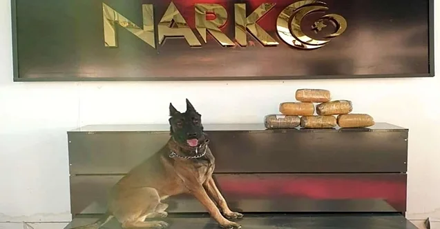 Ağrı’da Yapılan İncelemelerde Uyuşturucu Madde Ele Geçirildi
