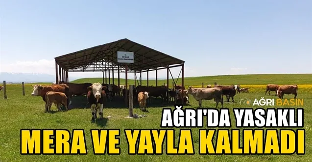 Ağrı’da Yasaklı Mera ve Yayla Kalmadı