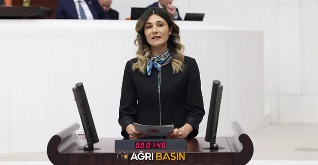 Ağrı Milletvekili Necla Demir su sorununu Meclise taşıdı