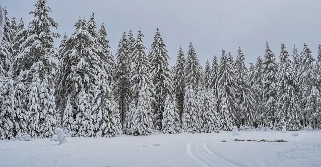 Soğuk Hava Dalgası Ağrı, Ardahan ve Kars’ta Hayatı Olumsuz Etkiliyor