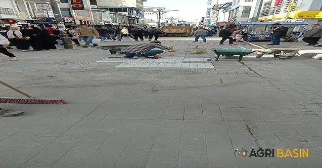 Kasisler ve Trafik Uyarılarıyla Güvenli Şehir