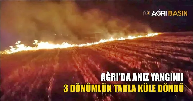 Ağrı Eskiharman Köyünde arazi yangını