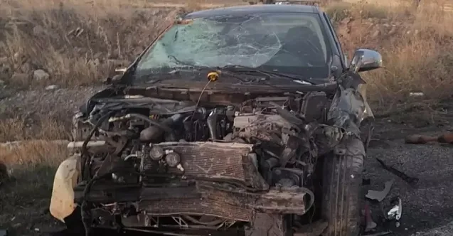 Ağrı’da Trafik Kazası! 4 Hayvan Telef Oldu