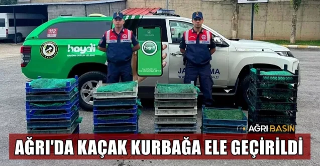 Doğubayazıt’ta 300 Kilogram Canlı Kurbağa Ele Geçirildi