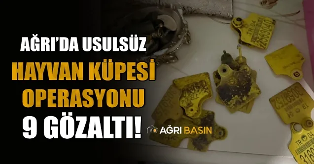 Ağrı’da Usulsüz Hayvan Küpesi Operasyonu: 9 Gözaltı