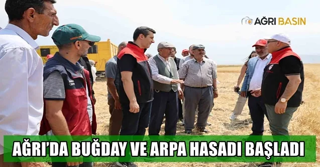 Ağrı’da Buğday ve Arpa Hasadı Başladı