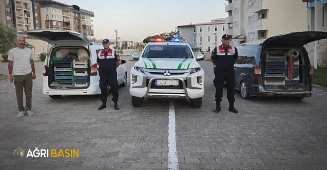 Doğubayazıt’ta kaçak kurbağa operasyonu!