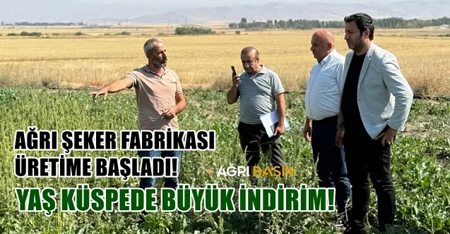 Ağrı Şeker Fabrikası üretime başladı, yaş küspe satışta