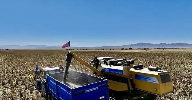 Ağrı’da ayçiçeği üretimi 758 milyon TL kazandıracak