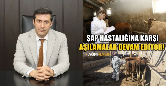 Ağrı’da Şap Hastalığına Karşı Aşılama Devam Ediyor
