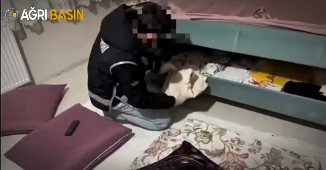 Ağrı’da Kaçakçılık Operasyonu: Milyonluk Vurgun Engellendi