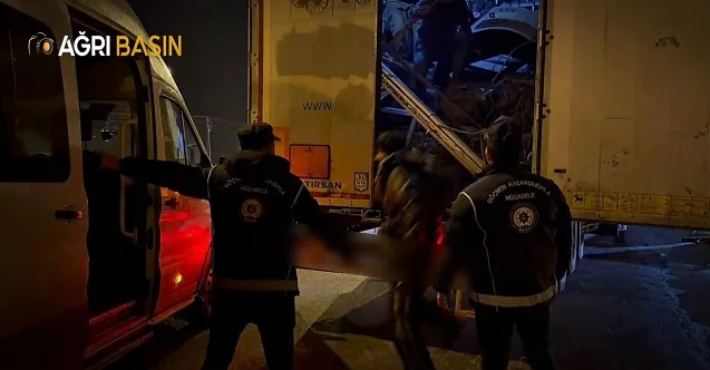 Ağrı’da Tır Dorsesinde 14 Düzensiz Göçmen Yakalandı