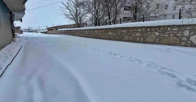 Diyadin’de yoğun kar yağışı günlük yaşamı zorlaştırıyor