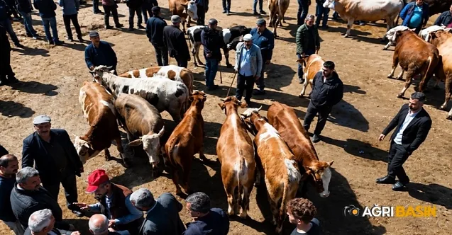 Ağrı Hayvan Borsası’nda Kurbanlık Hareketliliği Arttı