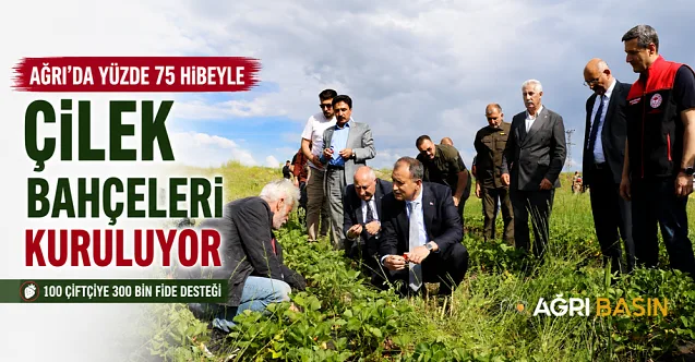 Ağrı’da Yüzde 75 Hibeyle Çilek Üretimi Başladı