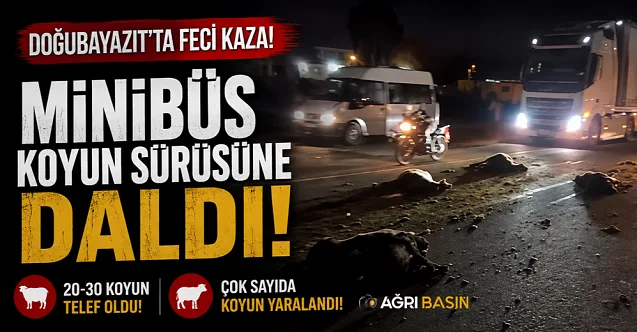 Doğubayazıt’ta Minibüs Koyun Sürüsüne Daldı: 30 Koyun Telef