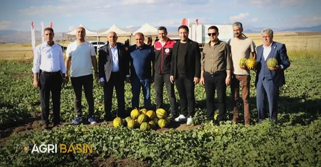 Ağrı’da kavun hasadı başladı: Tarlalarda bereket zamanı