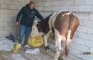 Diyadinli Besiciden Mandıra Çağrısı