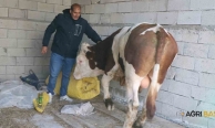 Diyadinli Besiciden Mandıra Çağrısı