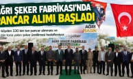 Ağrı Şeker Fabrikası’nda Pancar Alımı Başladı
