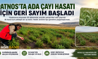 ​​​​​​​Patnos’ta Ada Çayı İçin İlk Hasat Heyecanı