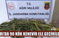 Ağrı'da Uyuşturucu Operasyonu: 90 Kök Kenevir Ele Geçirildi