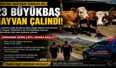 Ağrı'da 23 Büyükbaş Hayvan Gece Yarısı Çalındı