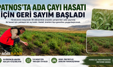 ​​​​​​​Patnos’ta Ada Çayı İçin İlk Hasat Heyecanı