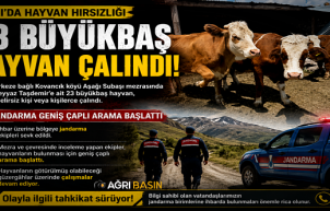 Ağrı'da 23 Büyükbaş Hayvan Gece Yarısı Çalındı