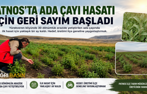 ​​​​​​​Patnos’ta Ada Çayı İçin İlk Hasat Heyecanı