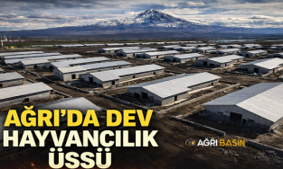 Ağrı’da 307 Ahırlık dev hayvancılık üssü kuruluyor