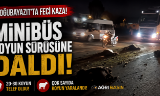 Doğubayazıt’ta Minibüs Koyun Sürüsüne Daldı: 30 Koyun Telef