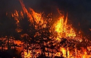 Bodrum'da ki Yangın Kontrol Altına Aldındı!