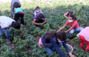 Ağrı Çukuralan Köy Okulu Bahçesindeki Bostan İle, Öğrencilerin Masrafları Karşılanıyor!