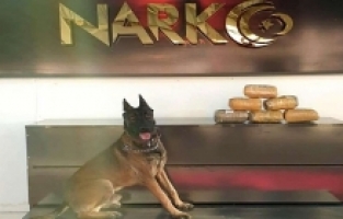 Ağrı'da Yapılan İncelemelerde Uyuşturucu Madde Ele Geçirildi