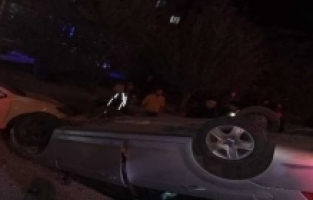 Ağrı'da Yola Atılan Köpek Kazaya Neden OIdu