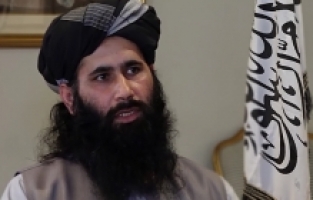 Taliban: İnsan haklarını asıl ihlal edenler hayvanlarla evliliğe izin verenlerdir