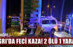Ağrı'da araç aydınlatma direğine çarptı: 2 ölü, 1 yaralı