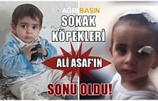 Ağrı'da köpek saldırısına uğrayan Ali Asaf Aktekin vefat etti!