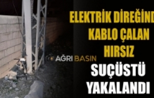 Ağrı'da Elektrik direğinden Kablo Çalan Hırsız Yakalandı!