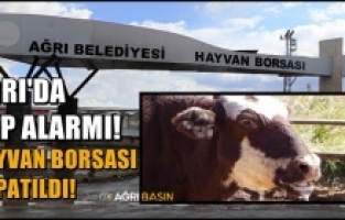 Ağrı Hayvan Pazarı Kapatıldı!