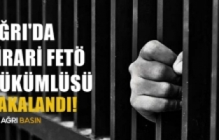 Ağrı'da FETÖ'nün firari "mahrem imamı" yakalandı